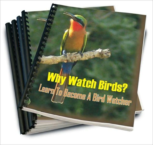 Why Watch Birds? Learn To Become A Bird Watcher