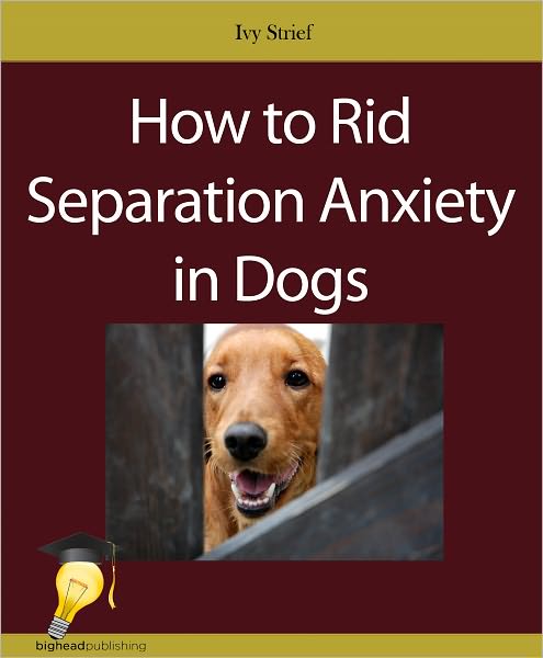 How to Rid Separation Anxiety in Dogs
