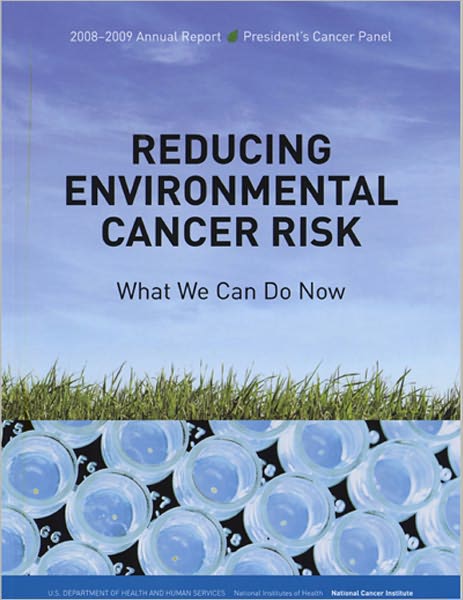 Reducing Environmental Cancer Risk: What We Can Do Now