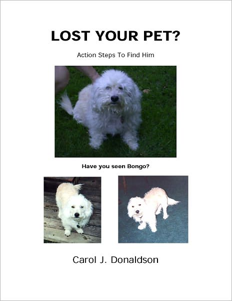 LOST YOUR PET? Action Steps to Find Him