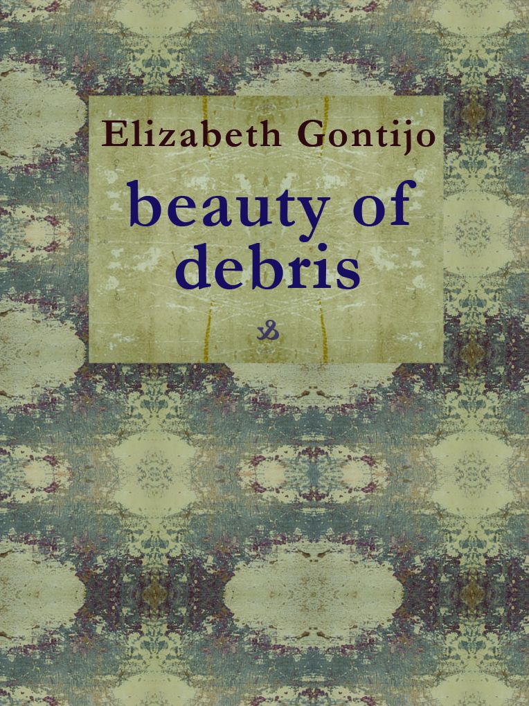 Beauty of Debris