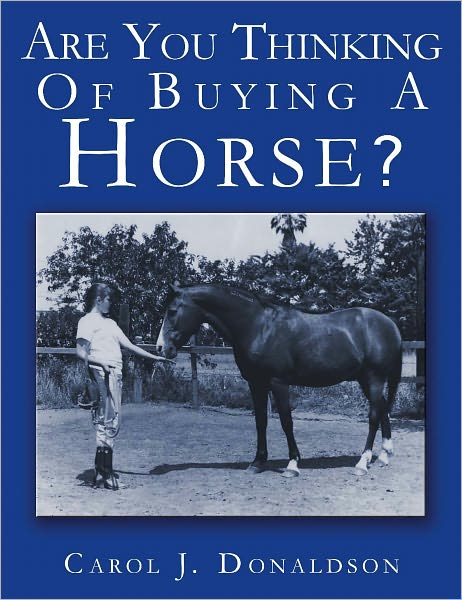 Are You Thinking Of Buying A Horse?