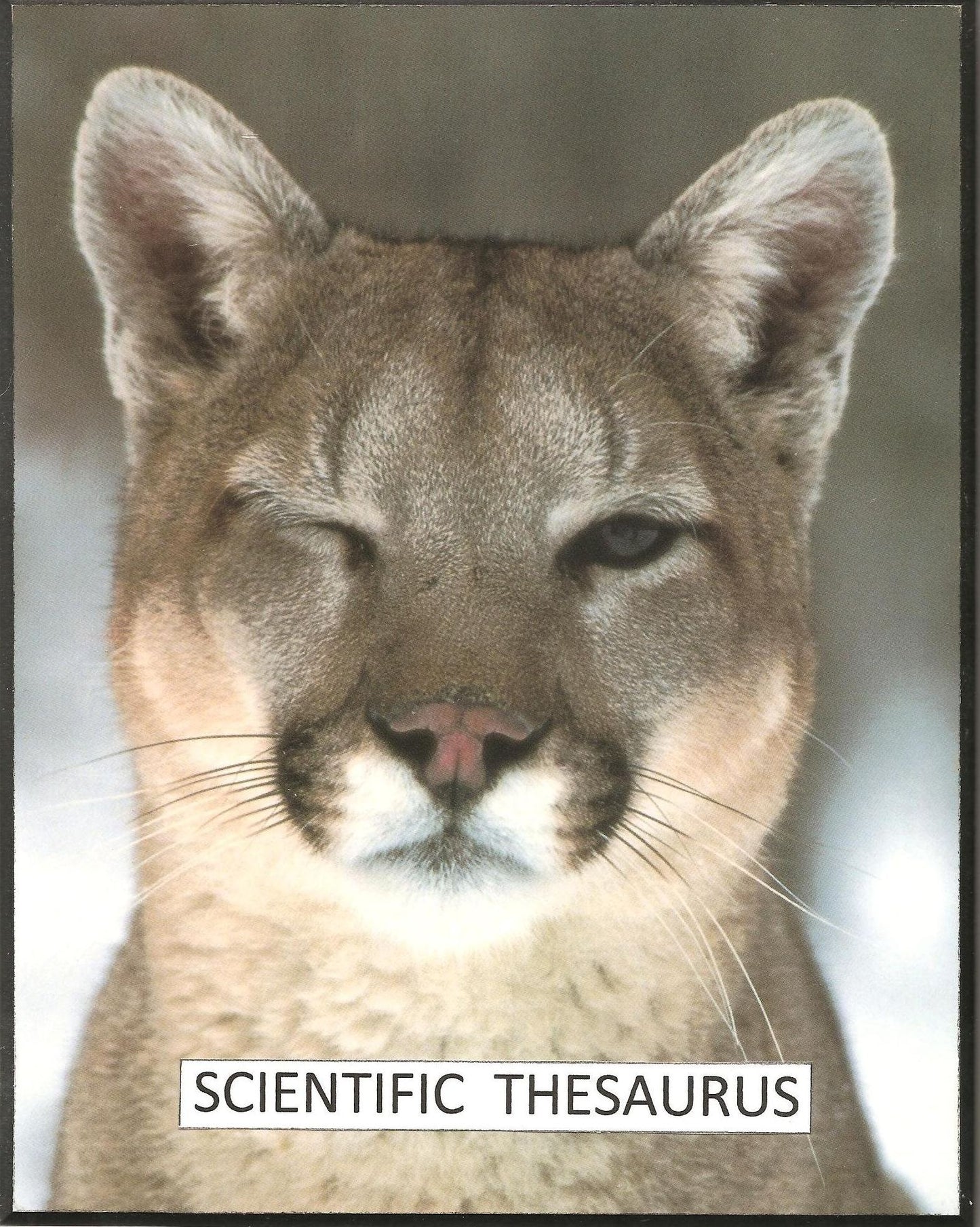 SCIENTIFIC THESAURUS