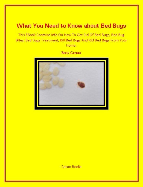 What You Need to Know about Bed Bugs