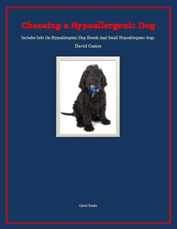 Choosing a Hypoallergenic Dog