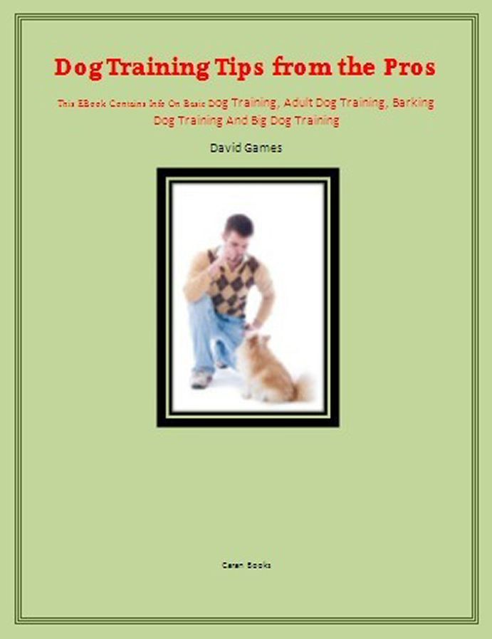 Dog Training Secrets From the Pros