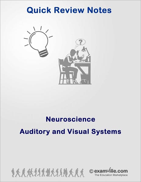 Quick Review Neuroscience: Auditory and Visual System