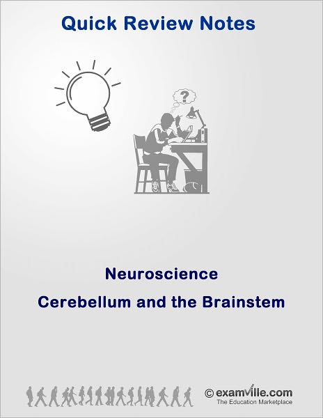 Quick Review Neuroscience: Cerebellum and Brainstem