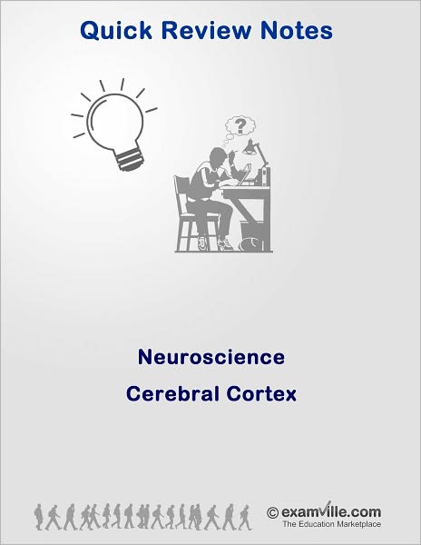 Quick Review Neuroscience: Cerebral Cortex