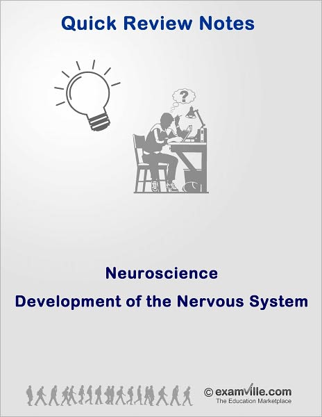 Quick Review Neuroscience: Development of the Nervous System