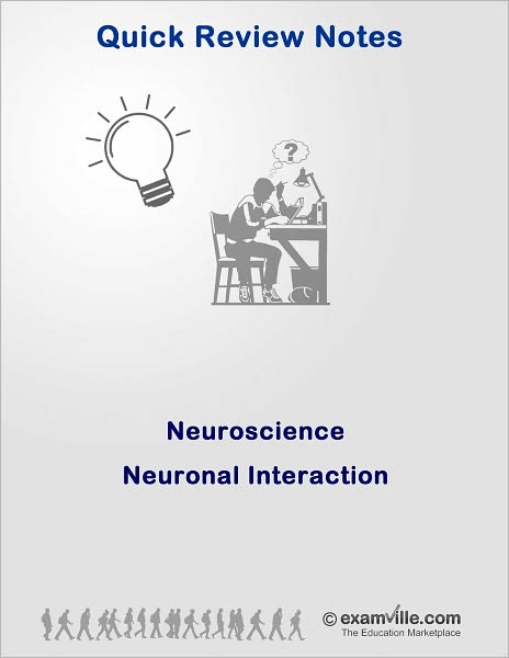 Quick Review Neuroscience: Neuronal Interaction