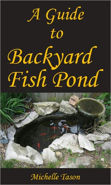 A Guide To Backyard Fish Pond