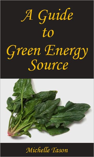A Guide To Green Energy Source