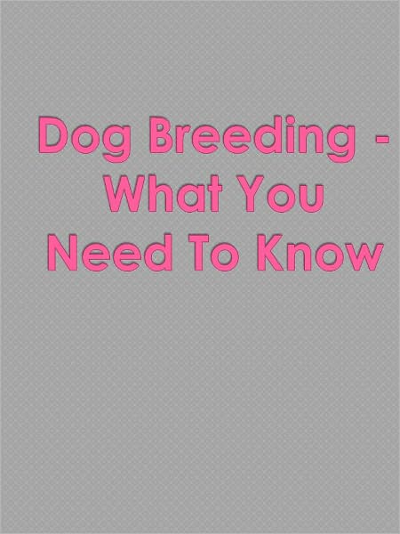 Dog Breeding - What You Need To Know