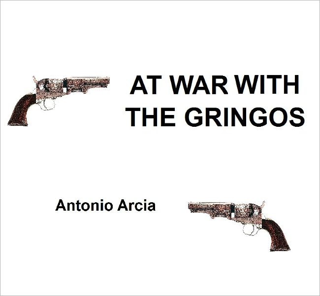 AT WAR WITH THE GRINGOS