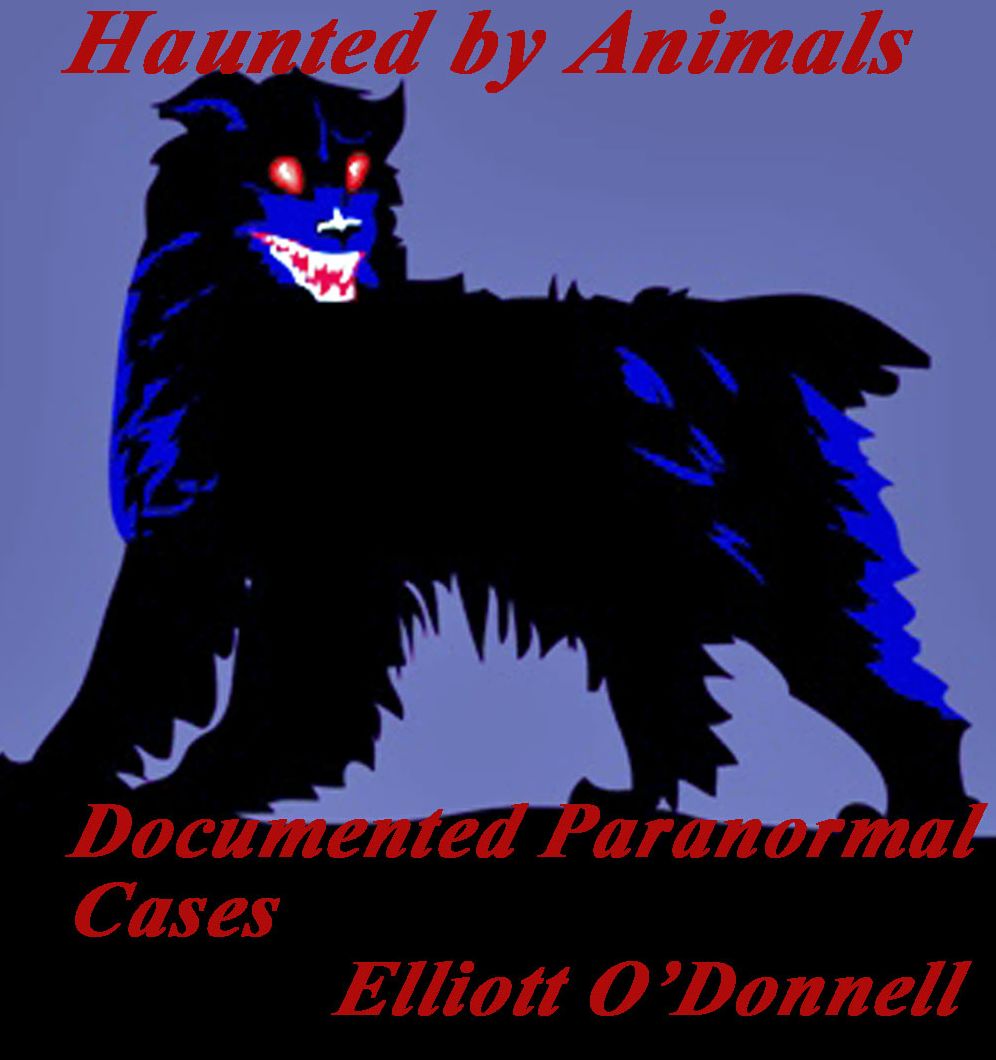 Haunted by Animals