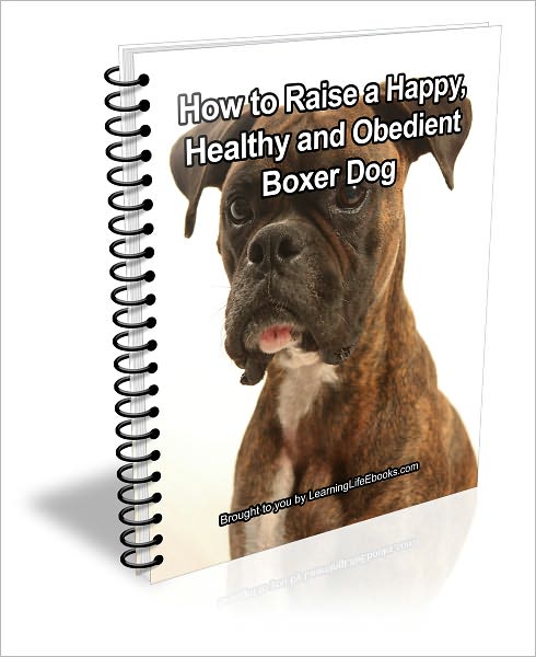 How to Raise A Healthy, Happy and Obedient Boxer Dog
