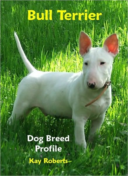 Bull Terrier Dog Breed Profile