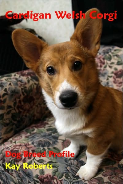 Cardigan Welsh Corgi Dog Breed Profile