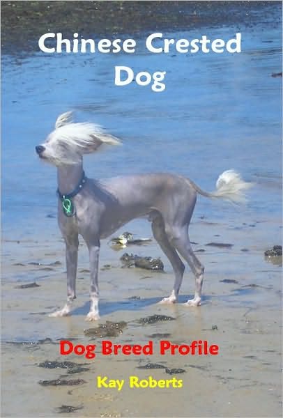 Chinese Crested Dog Dog Breed Profile