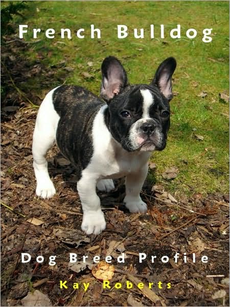 French Bulldog Dog Breed Profile