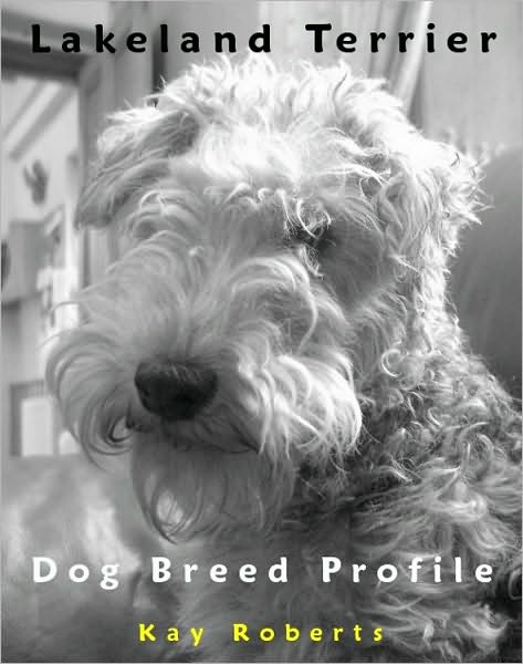 Lakeland Terrier Dog Breed Profile