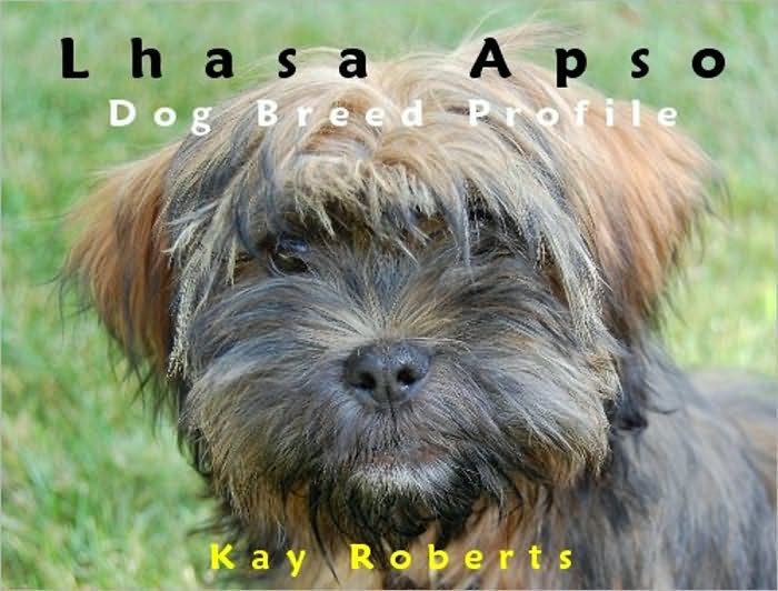 Lhasa Apso Dog Breed Profile