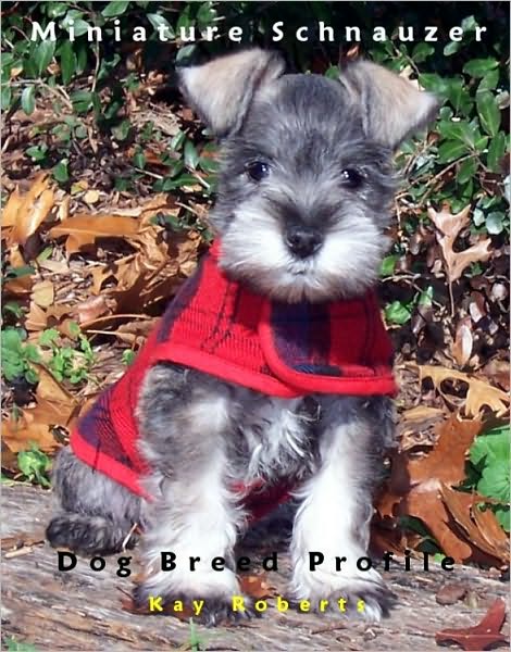 Miniature Schnauzer Dog Breed Profile