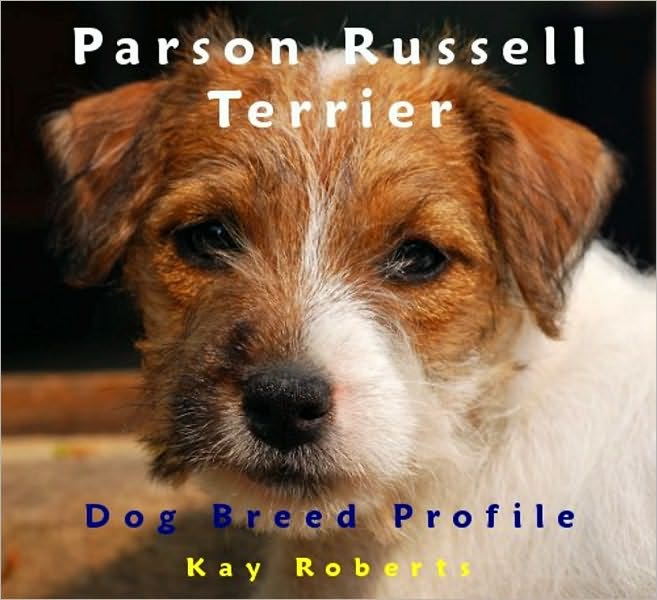 Parson Russell Terrier Dog Breed Profile