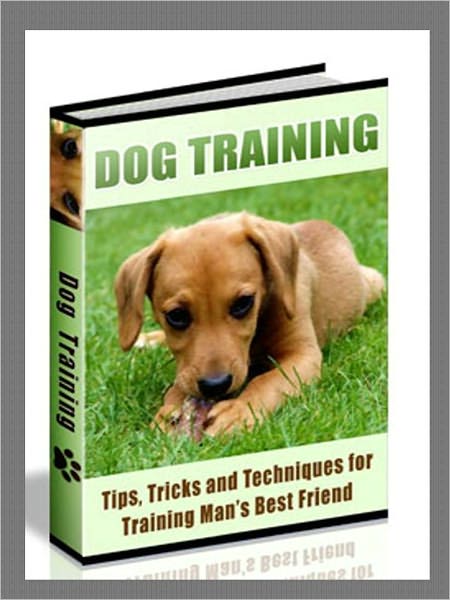 90 Dog Training Tips