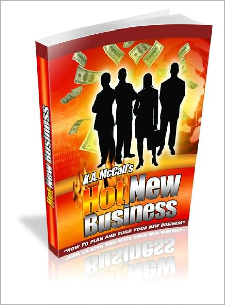 Hot New Business: How To Plan And Build Your New Business
