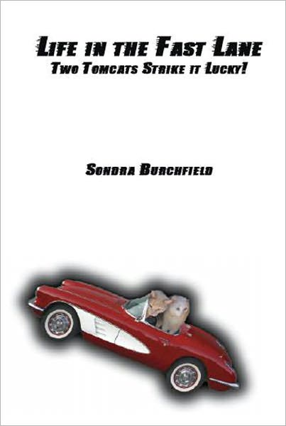 Life in the Fast Lane: Two Tom Cats Strike it Lucky