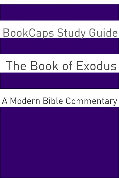 The Book of Exodus: A Modern Bible Commentary