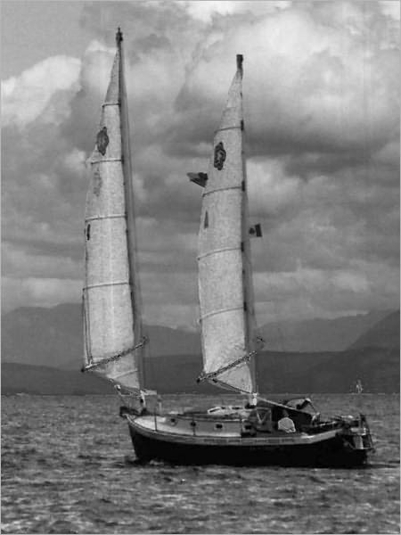 A Sailing Story: Drugs: Do They Involve the Innocent?