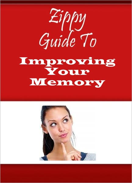Zippy Guide To Improving Your Memory