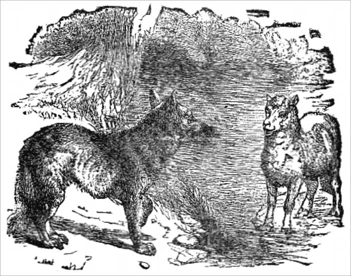 Aesop's Fables