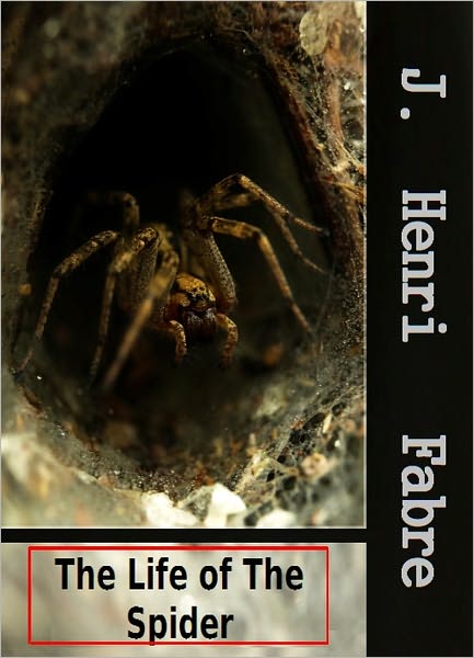 The Life of the Spider