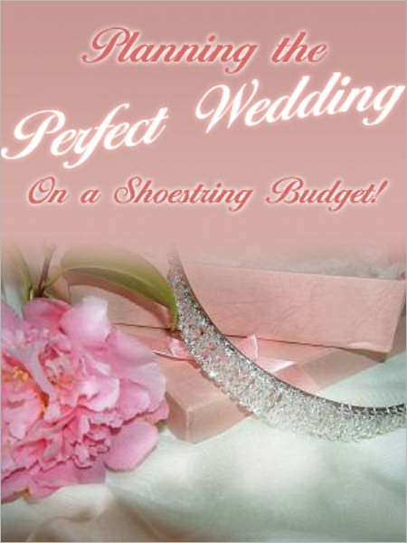 Planning The Perfect Wedding on a Shoestring Budget