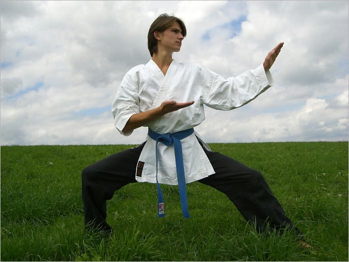 Karate: The Ultimate Self Defense