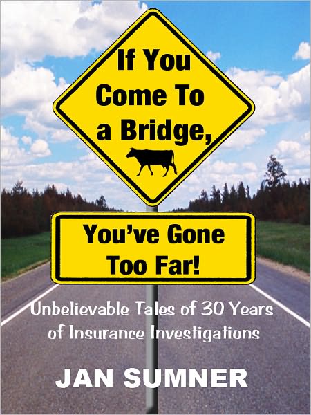 If You Come To A Bridge, You've Gone Too Far!