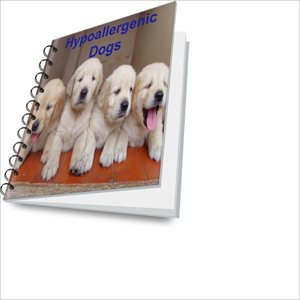 What Everybody Should Know About How to Choose and Care for Hypoallergenic Dogs