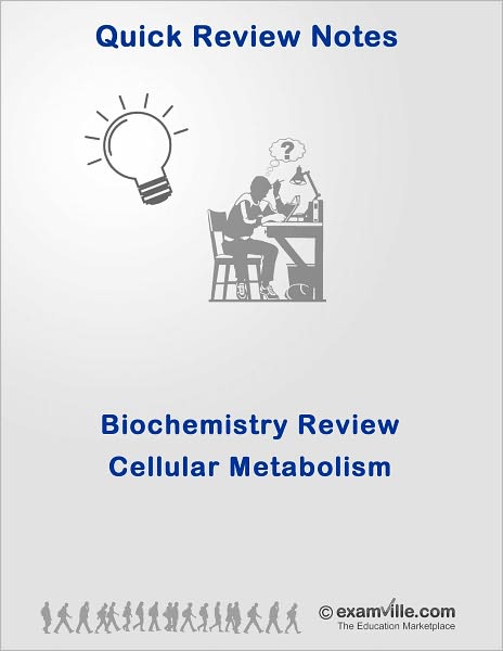 Biochemistry Quick Review: Cellular Metabolism (Energy, Krebs Cycle, Glycolysis)