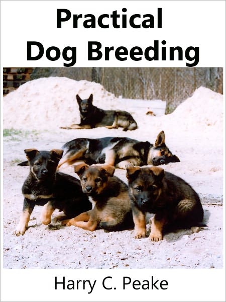 Dog Breeding for Beginners: Practical Dog Breeding Info and Dog Breeding Tips
