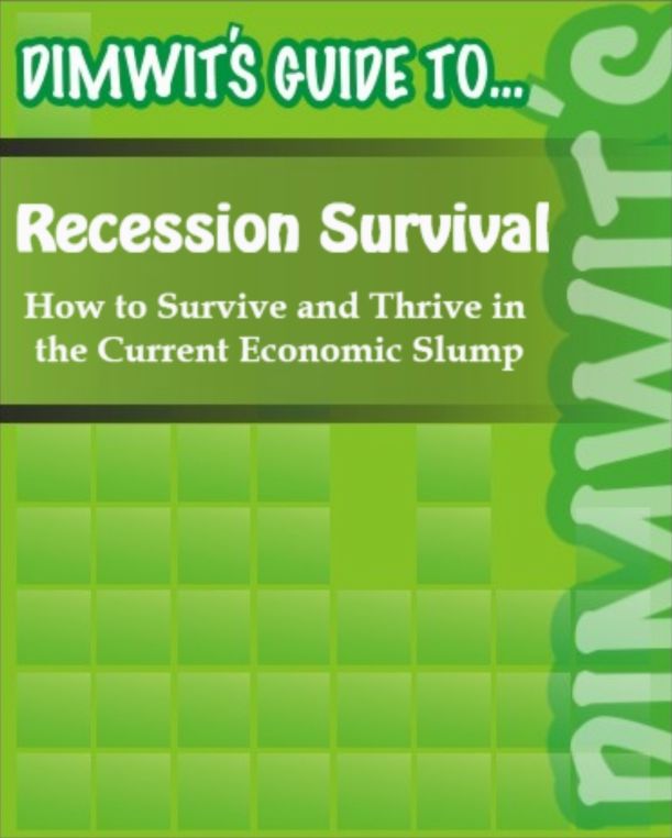 Dimwit's Guide to Recession Survival: How to Survive and Thrive in the Current Economic Slump