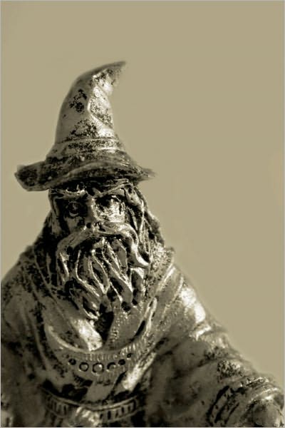 The Wizard [Illustrated]