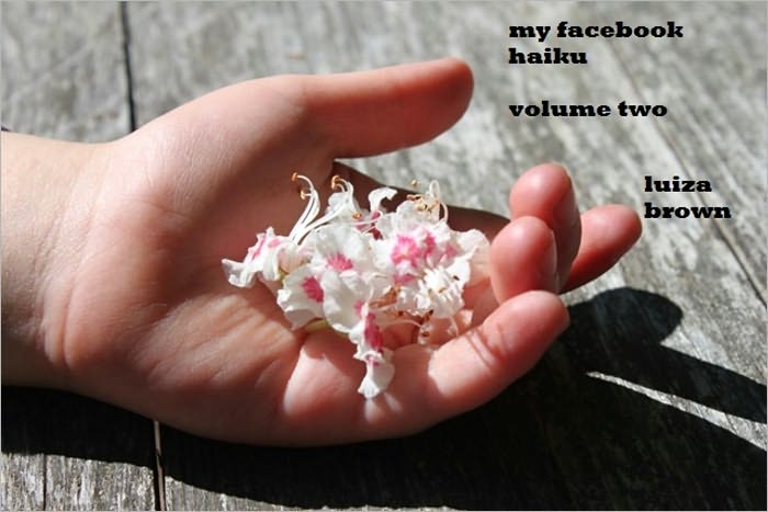 my facebook haiku (volume two)