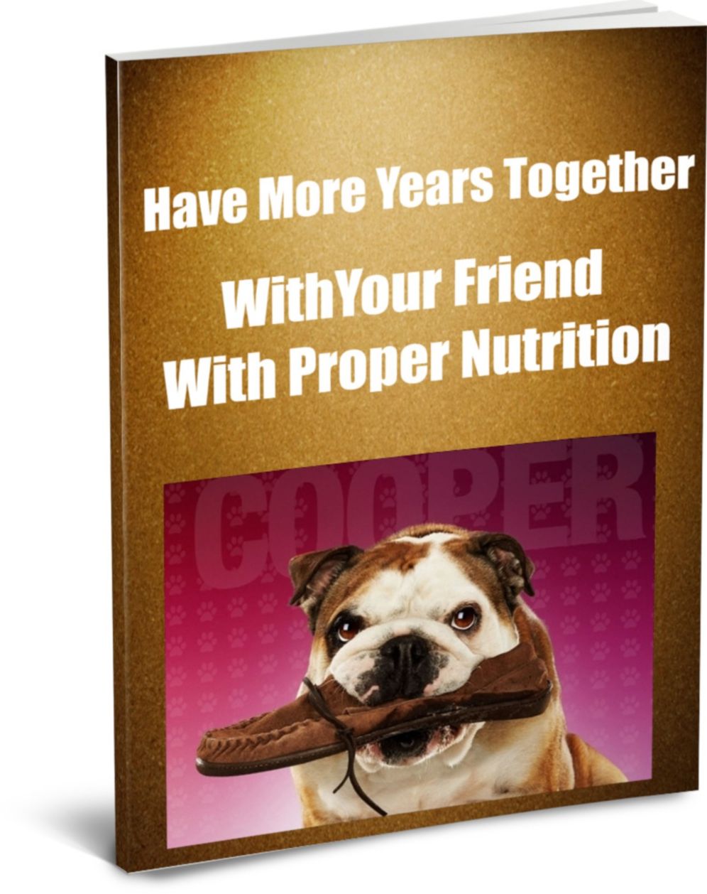 Have More Years Together With Your Pets With Proper Nutrition