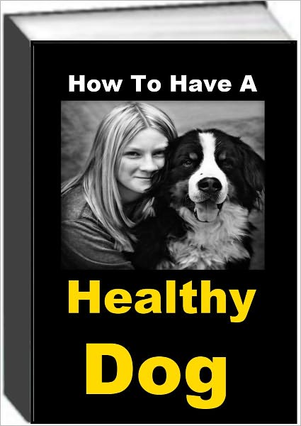 How To Have A Healthy Dog