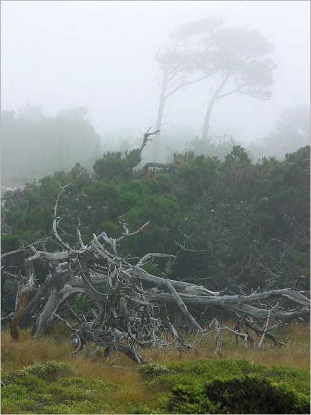 Tales of Men and Ghosts