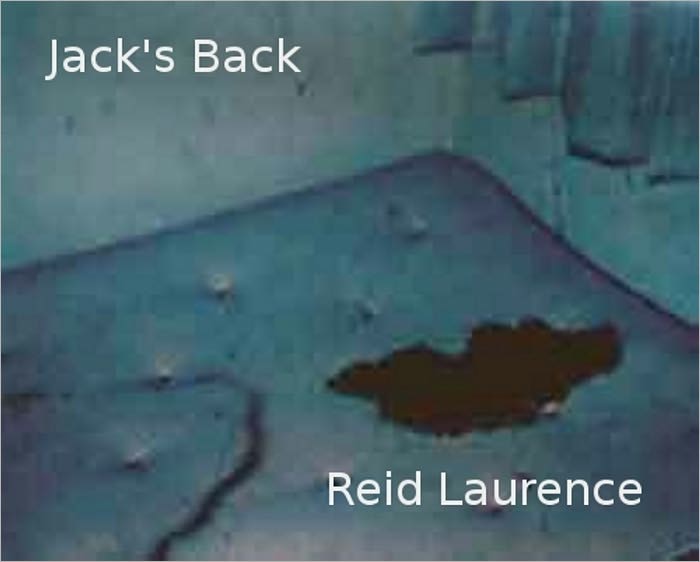 Jack's Back